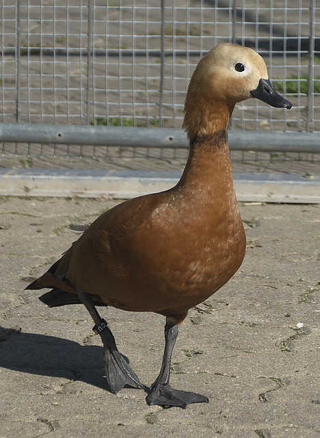 众面前