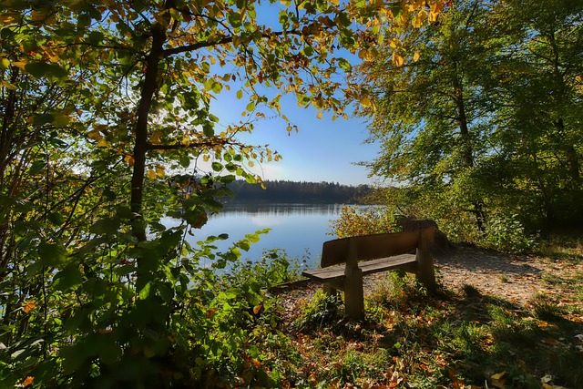 这一组别既 这一组别既