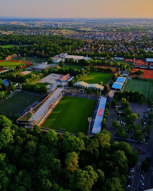 他的伤病情 他的伤病情