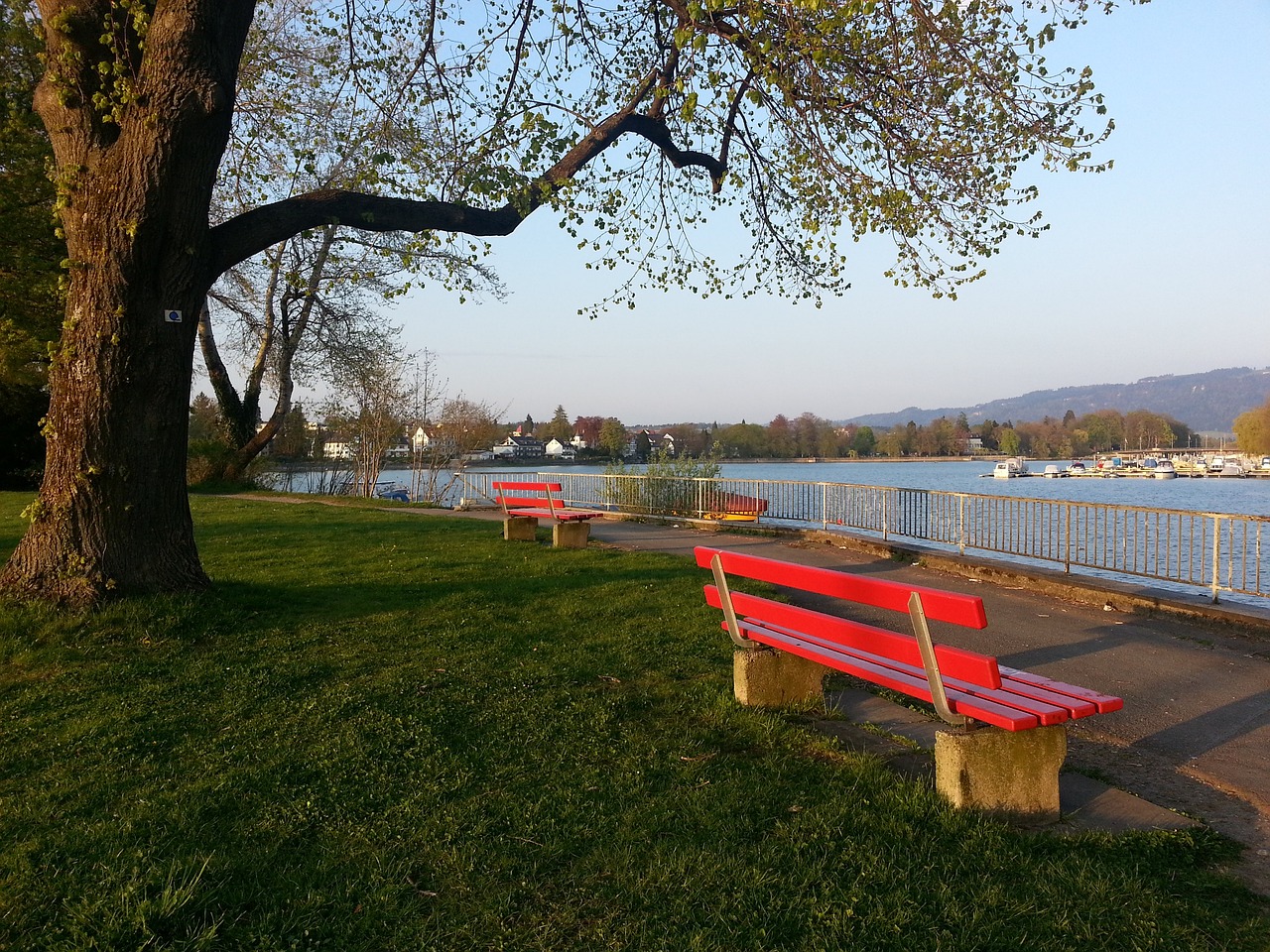 将赋予港口 将赋予港口