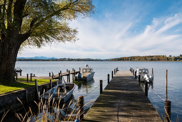 西部战局全 西部战局全